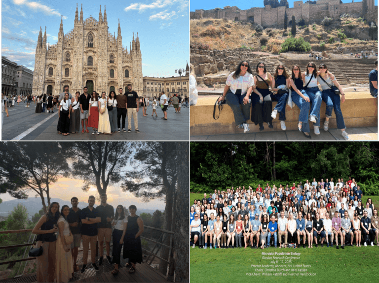 Our Lab on the Road: Conferences 2025