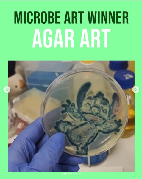 Laura wins the 2025 Microbe Art Contest