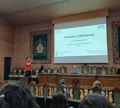 085f19a2-a5f0-4e6f-a906-25721586928b